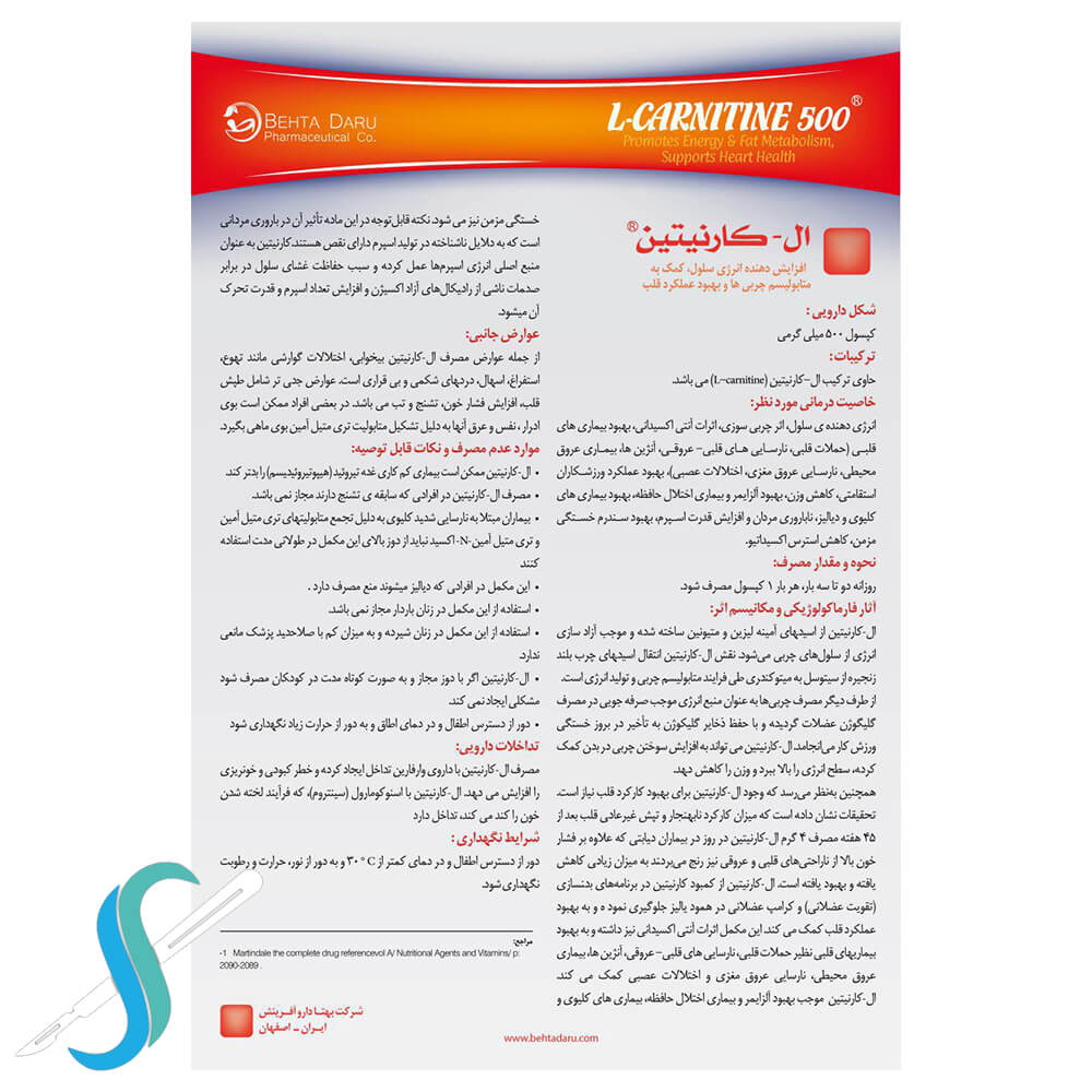 عوارض l carnitine GAT Sport L-Carnitine — The Strength Factory